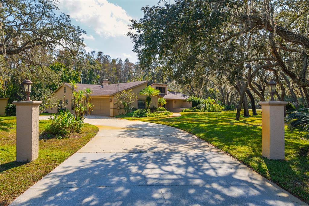 10206 Lakeview Drive New Port Richey, FL 34654 - Photo 4 of 50