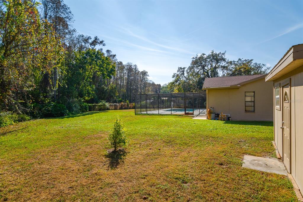 10206 Lakeview Drive New Port Richey, FL 34654 - Photo 46 of 50
