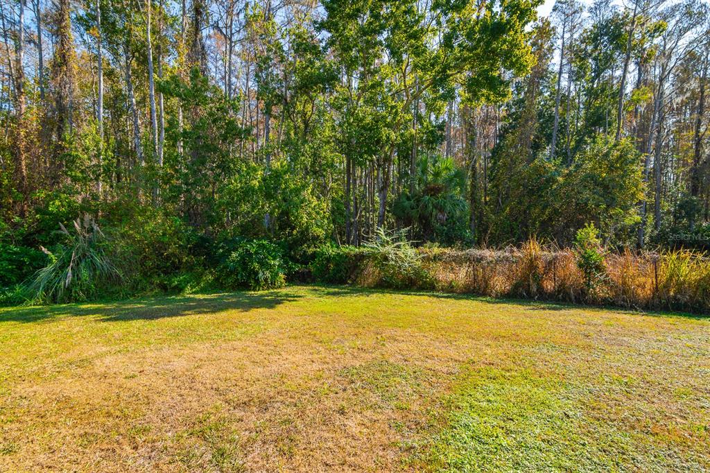 10206 Lakeview Drive New Port Richey, FL 34654 - Photo 47 of 50