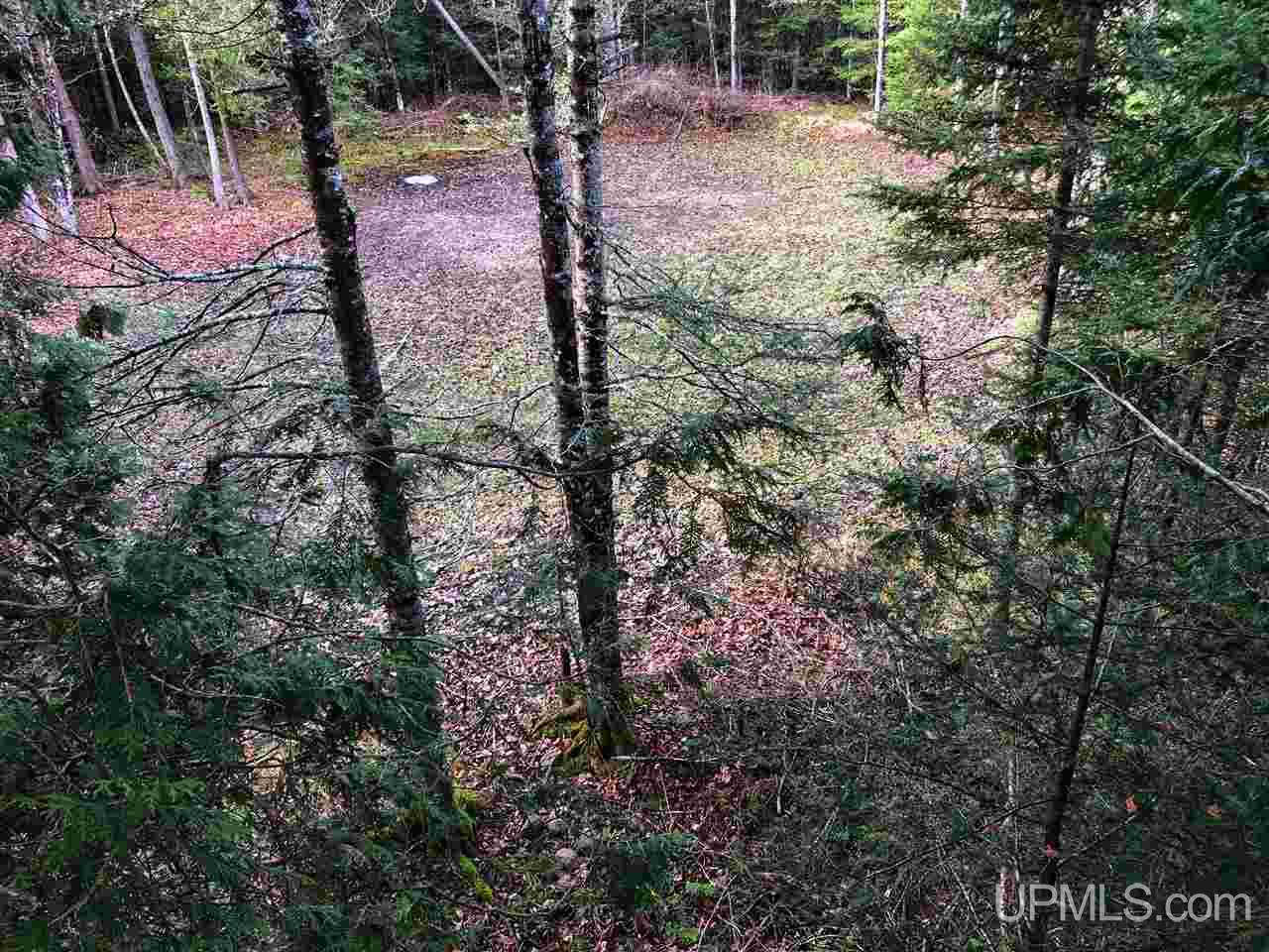 13500 Camp 9 Road Rock, MI 49880 - Photo 27 of 47 Gallery Image 27