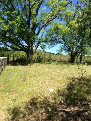3375 Tom Bartles Road Appling, GA 30802 - Photo 1 of 1 Main View