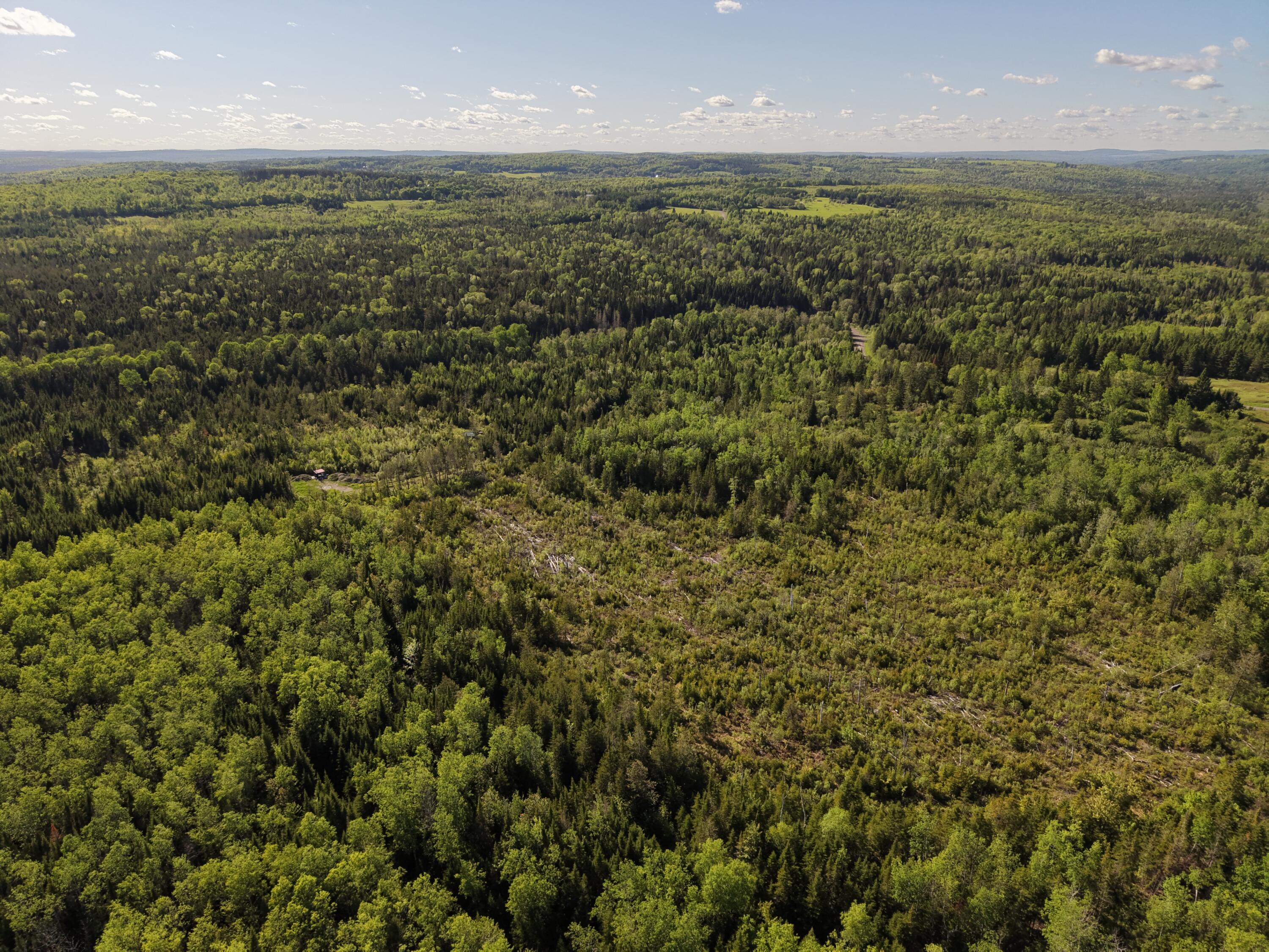M5-l50d Rista Road New Sweden, ME 04762 - Photo 17 of 39