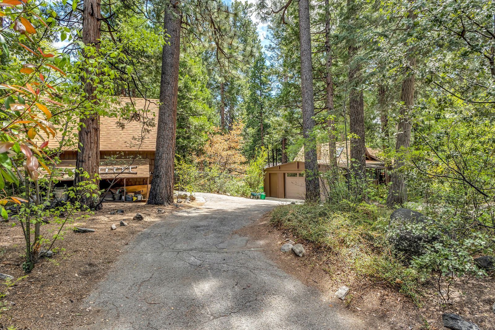 25100 Indian Rock Road Idyllwild, CA 92549 - Photo 69 of 75 a view of a building with large trees