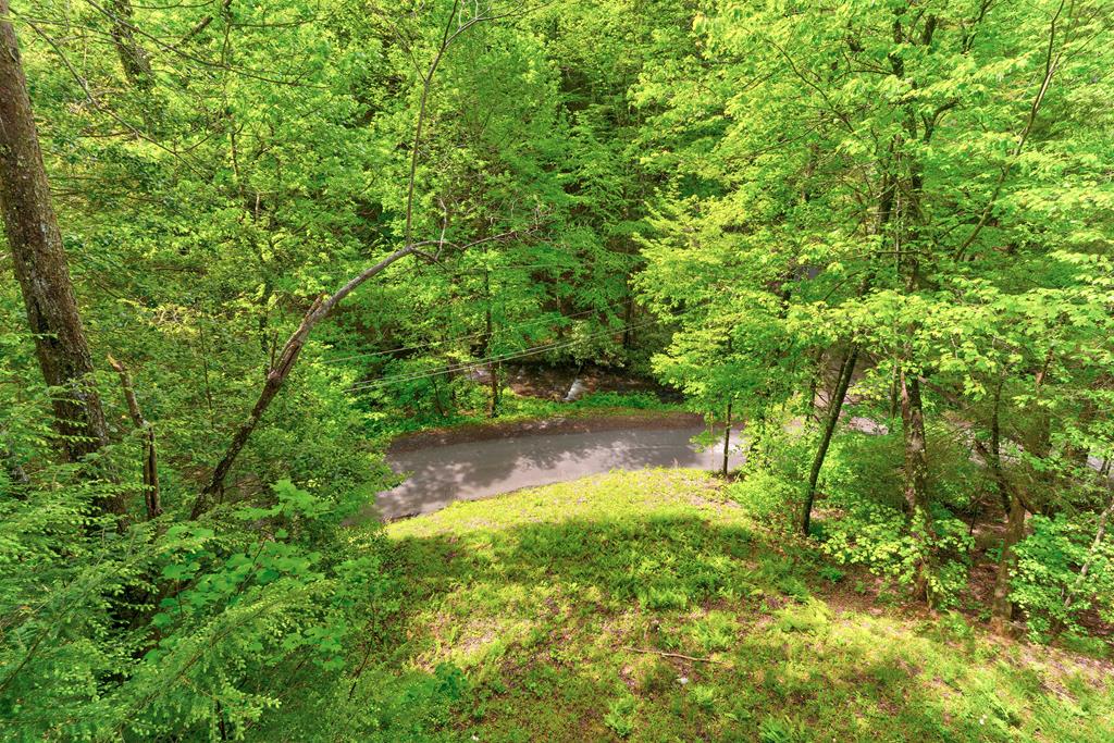 75 Laurel Creek Road Blue Ridge, GA 30513 - Photo 41 of 41 Gallery Image 41