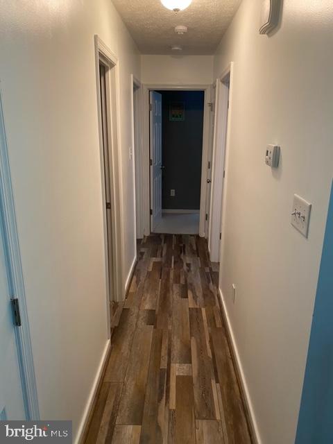 490 Mitchells Mill Road Aylett, VA 23009 - Photo 17 of 17 Gallery Image 17