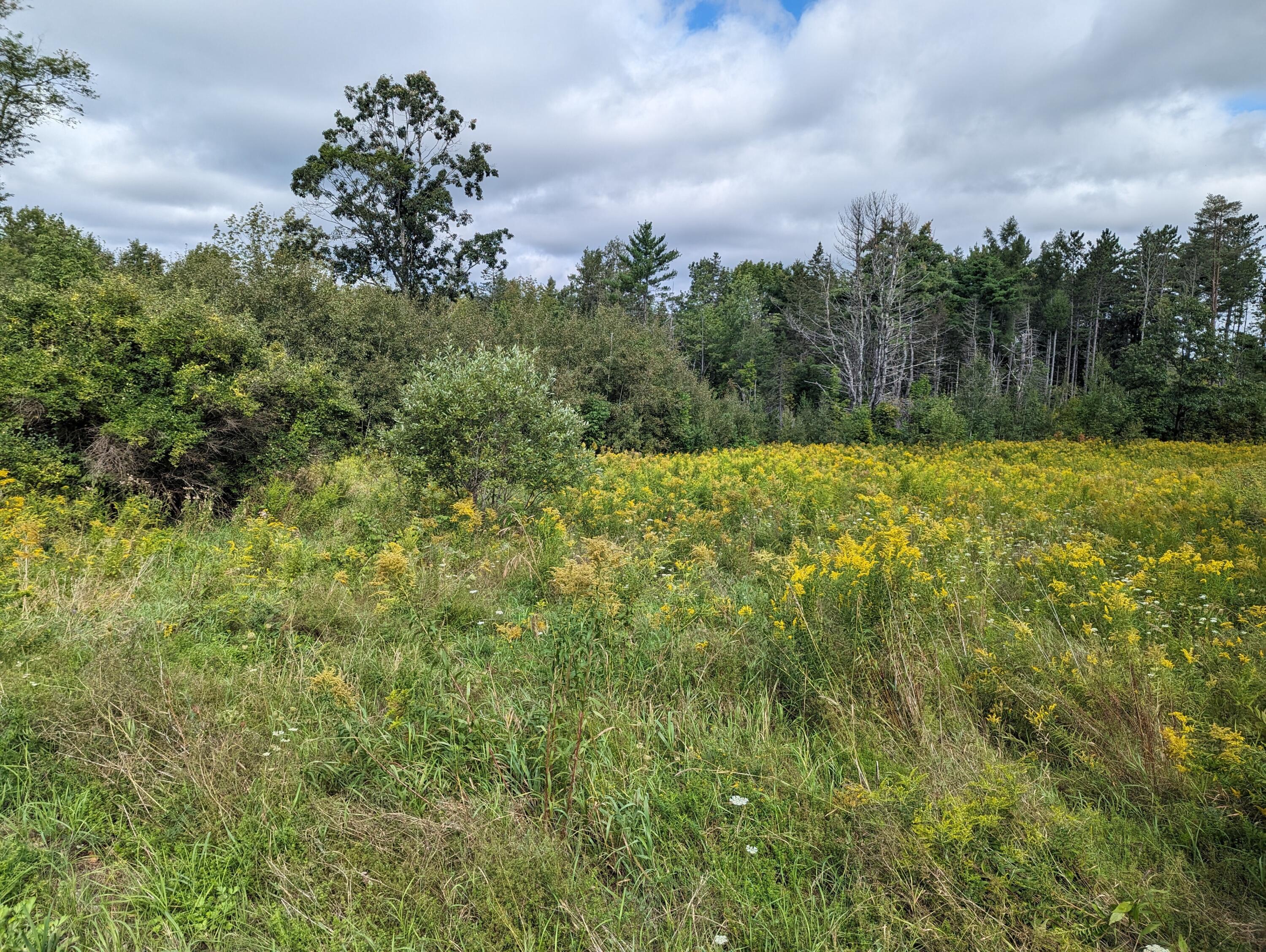Tbd Western Avenue Hampden, ME 04444 - Photo 3 of 3 10-1