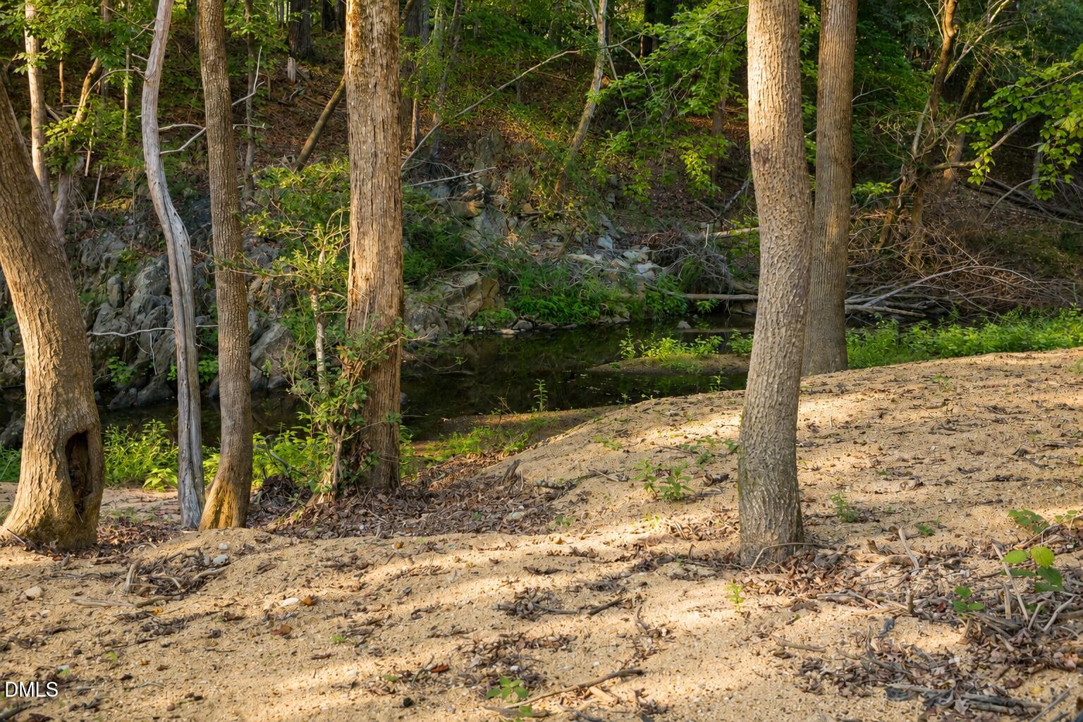 180 Hobbs Road Pittsboro, NC 27312 - Photo 69 of 76 Creek View 11
