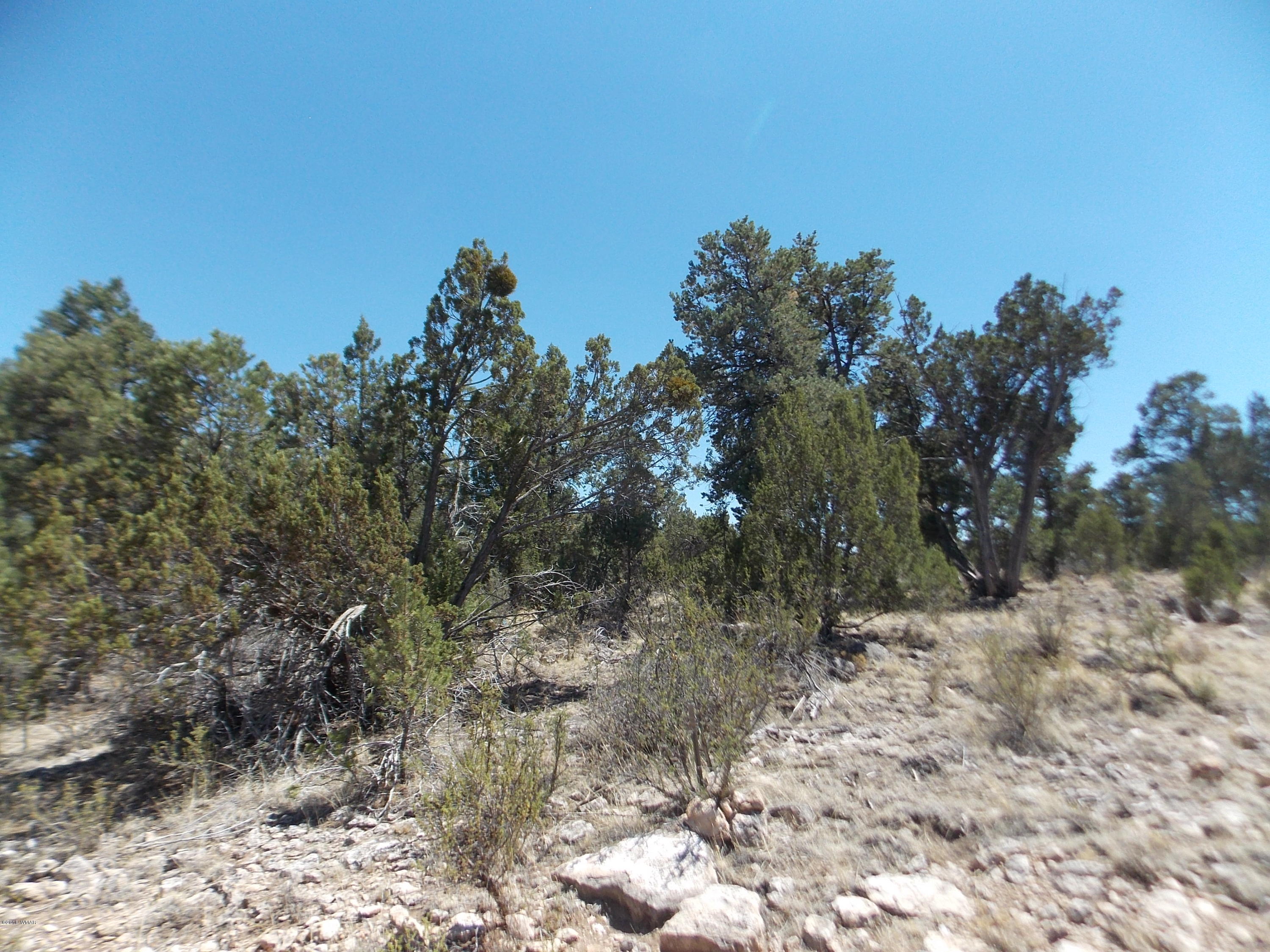 3155 Trail End Overgaard, AZ 85933 - Photo 3 of 7