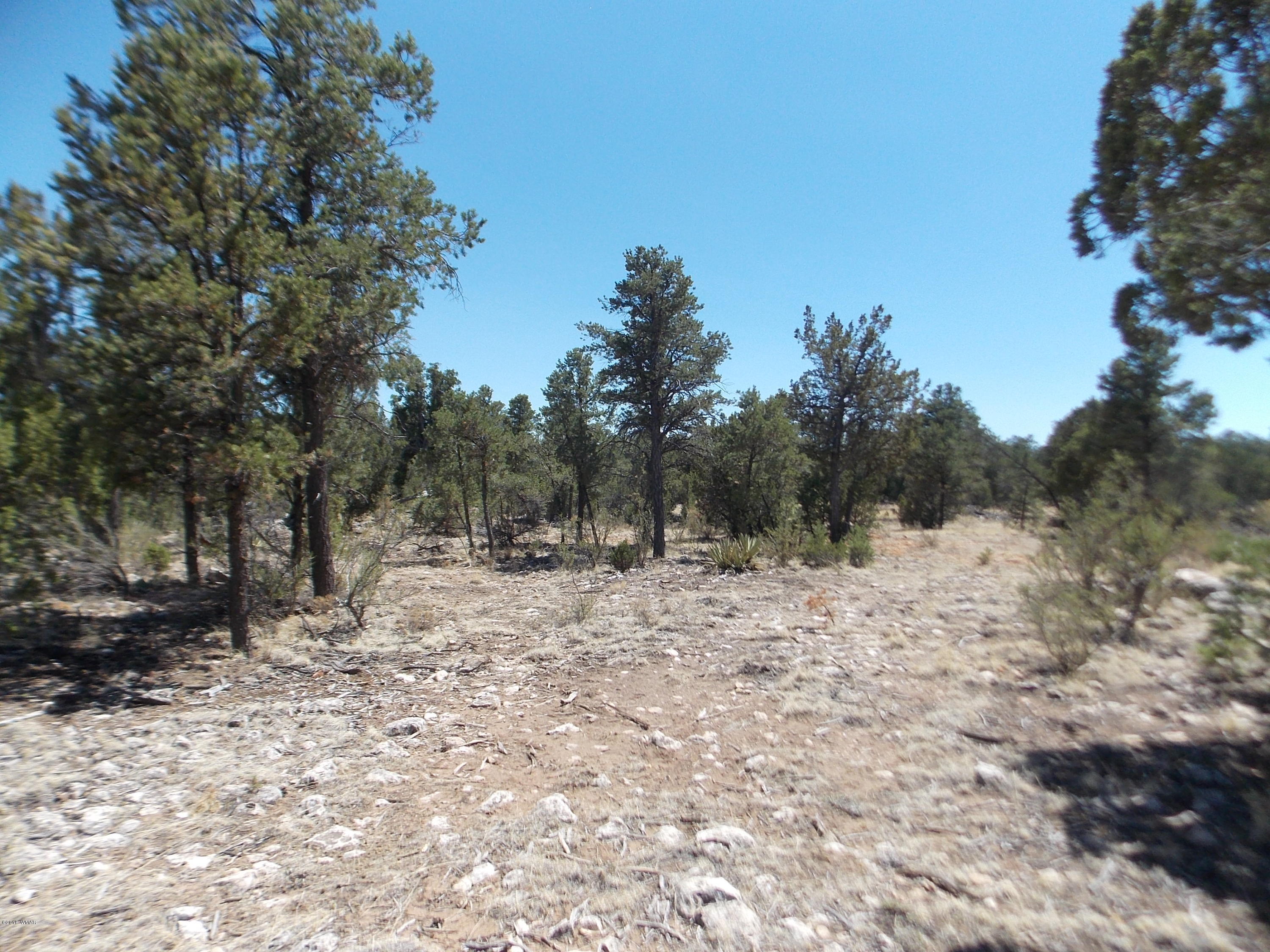 3155 Trail End Overgaard, AZ 85933 - Photo 4 of 7