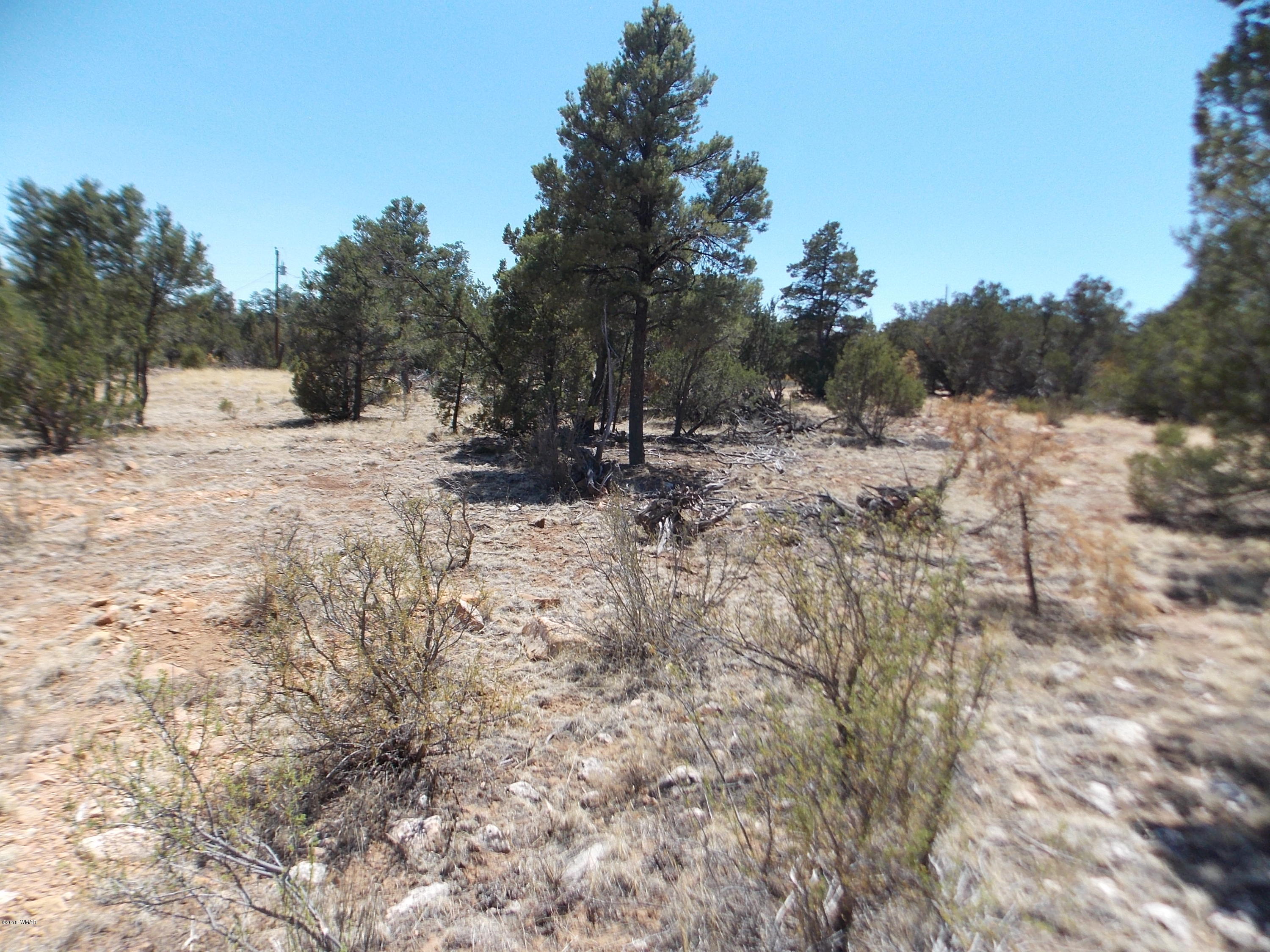 3155 Trail End Overgaard, AZ 85933 - Photo 6 of 7