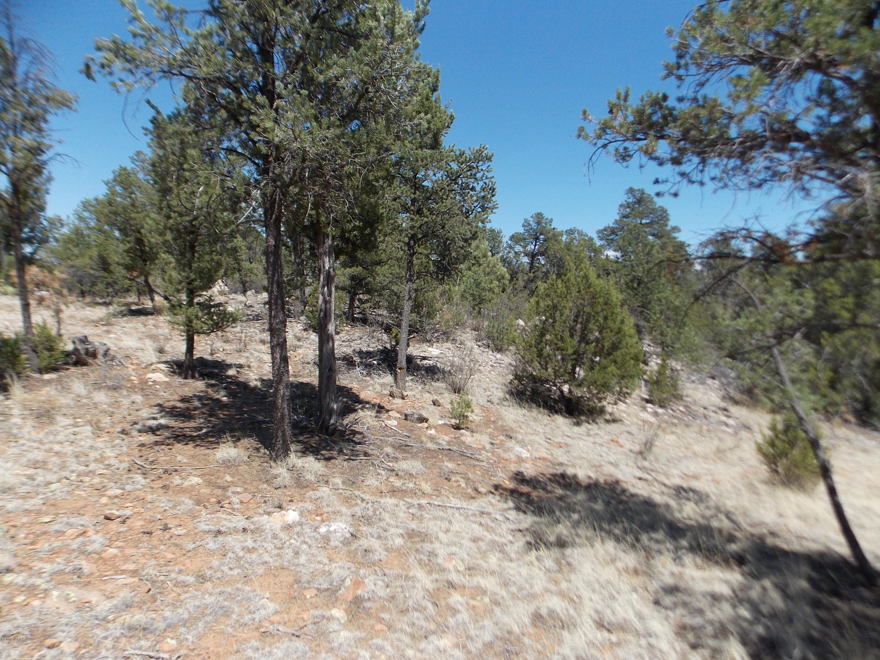 3155 Trail End Overgaard, AZ 85933 - Photo 7 of 7