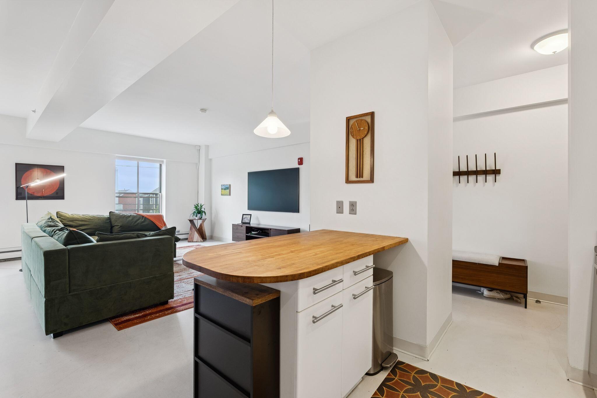 21 Chestnut Street, Unit 203 Portland, ME 04101 - Photo 15 of 31 11_DSC06482