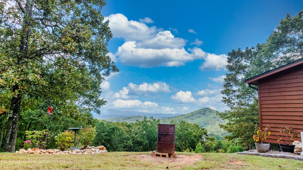 124 Cornerstone Murphy, NC 28906 - Photo 14 of 57 a view of a yard with flower plants
