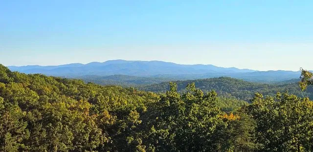 a view of a lush green field with a mountain in the background