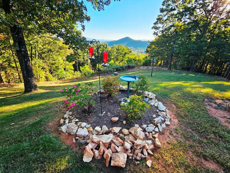 124 Cornerstone Murphy, NC 28906 - Photo 39 of 57 a garden with flowers and trees