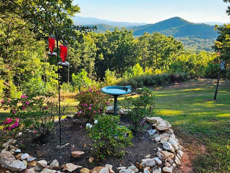 124 Cornerstone Murphy, NC 28906 - Photo 43 of 57 a view of a garden with a building in the background