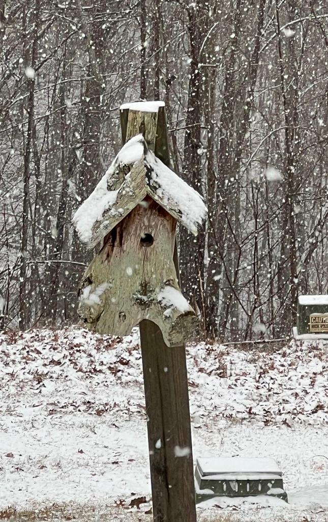 124 Cornerstone Murphy, NC 28906 - Photo 47 of 57