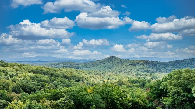 a view of an outdoor space and yard