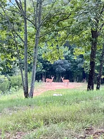 $495,000 | 124 Cornerstone, Murphy, NC 28906