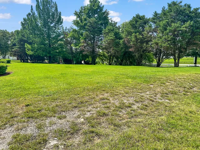 a view of field with trees