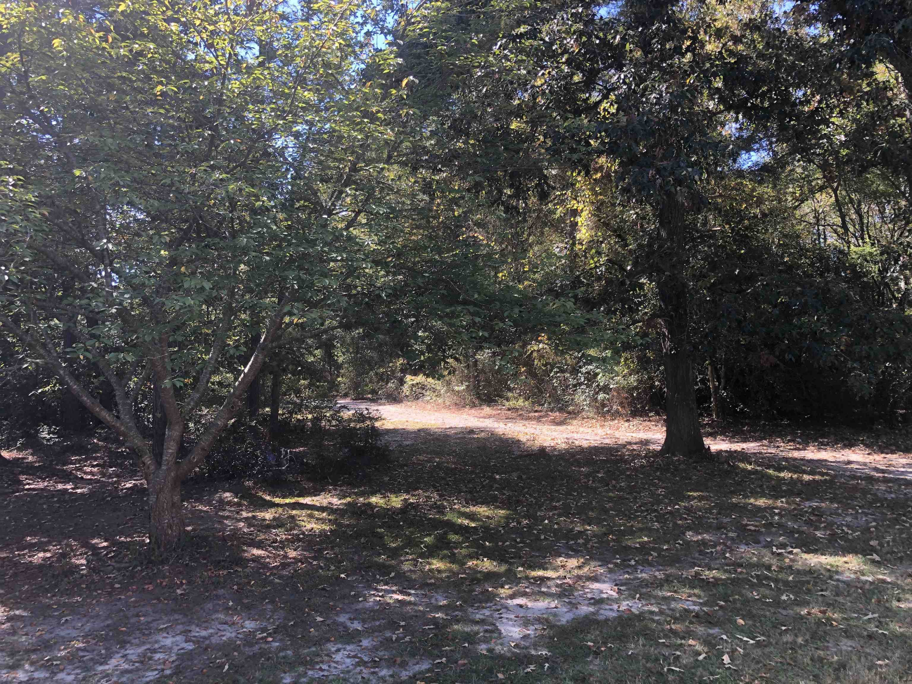 1584 Barefoot Road, Unit B Newton Grove, NC 28366 - Photo 29 of 36 Photo 29