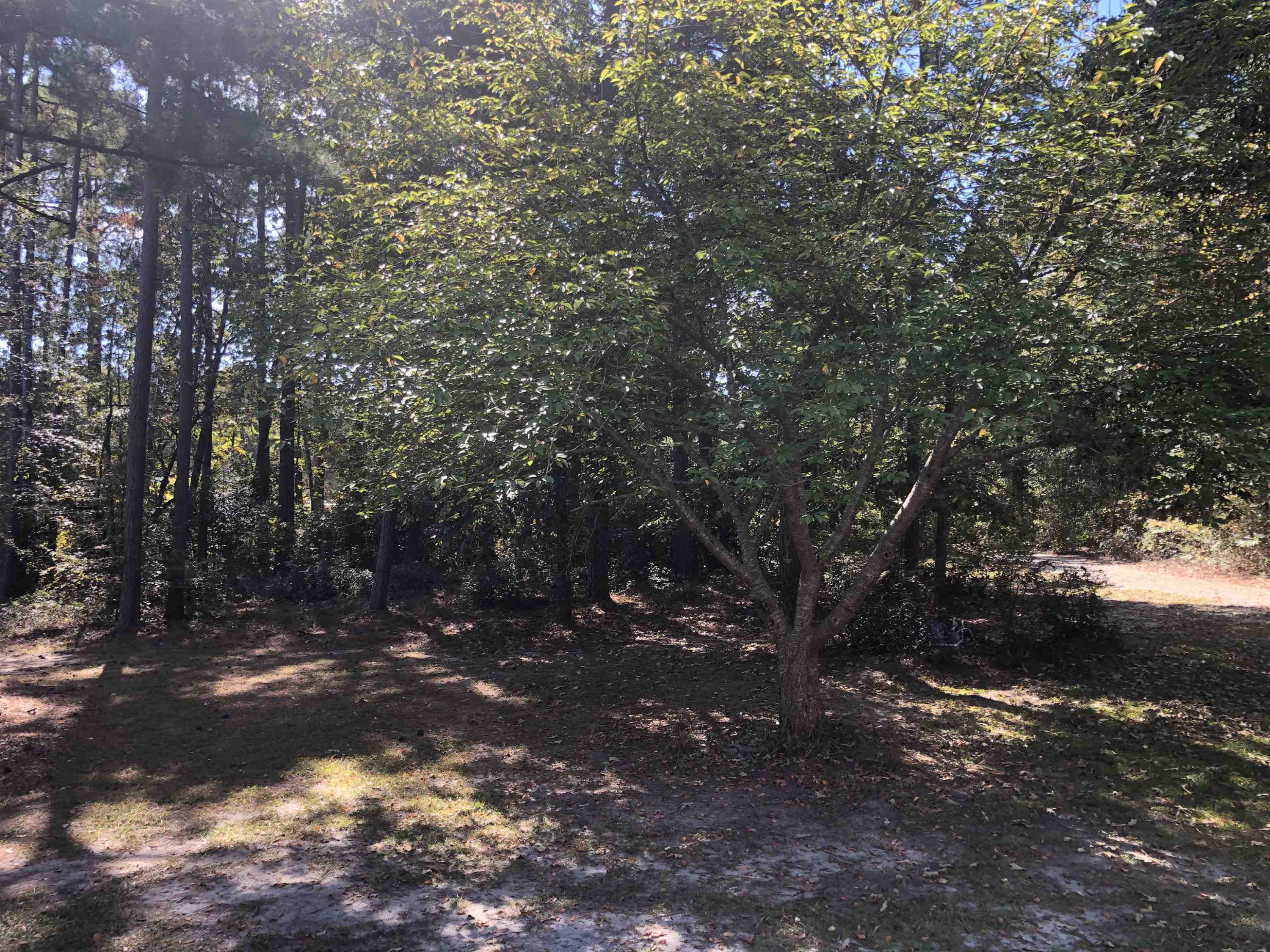 1584 Barefoot Road, Unit B Newton Grove, NC 28366 - Photo 30 of 36 Photo 30