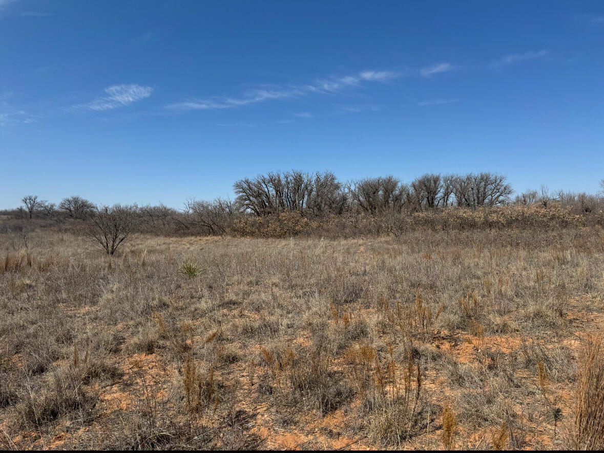 257 Co Road Dickens, TX 79229 - Photo 8 of 19 IMG_2107