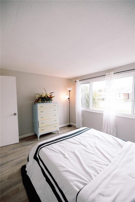 3449 Springfield Drive Holiday, FL 34691 - Photo 19 of 30