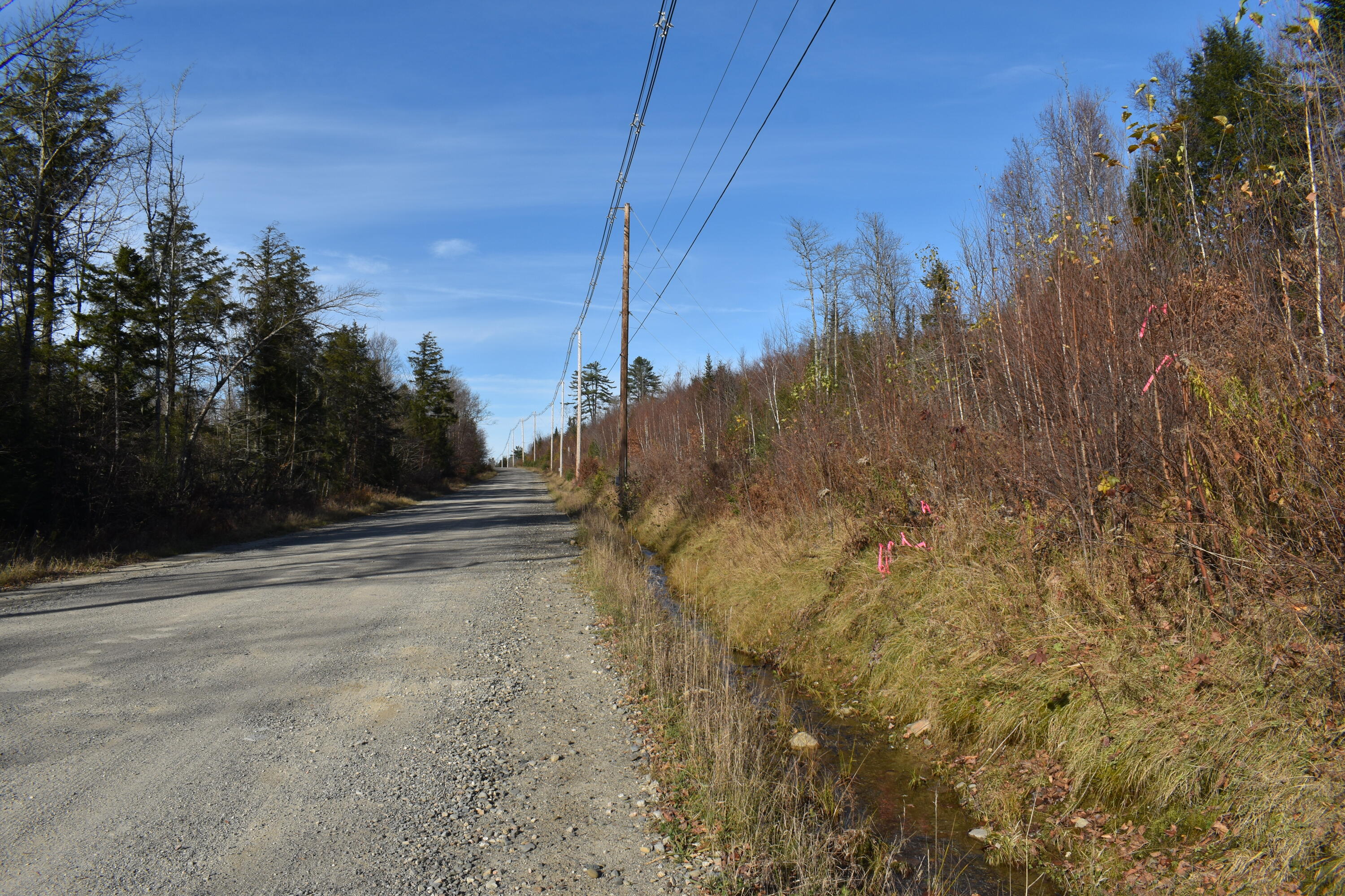 Lot 6 Half Township Road Lincoln, ME 04457 - Photo 2 of 11 DSC_0101