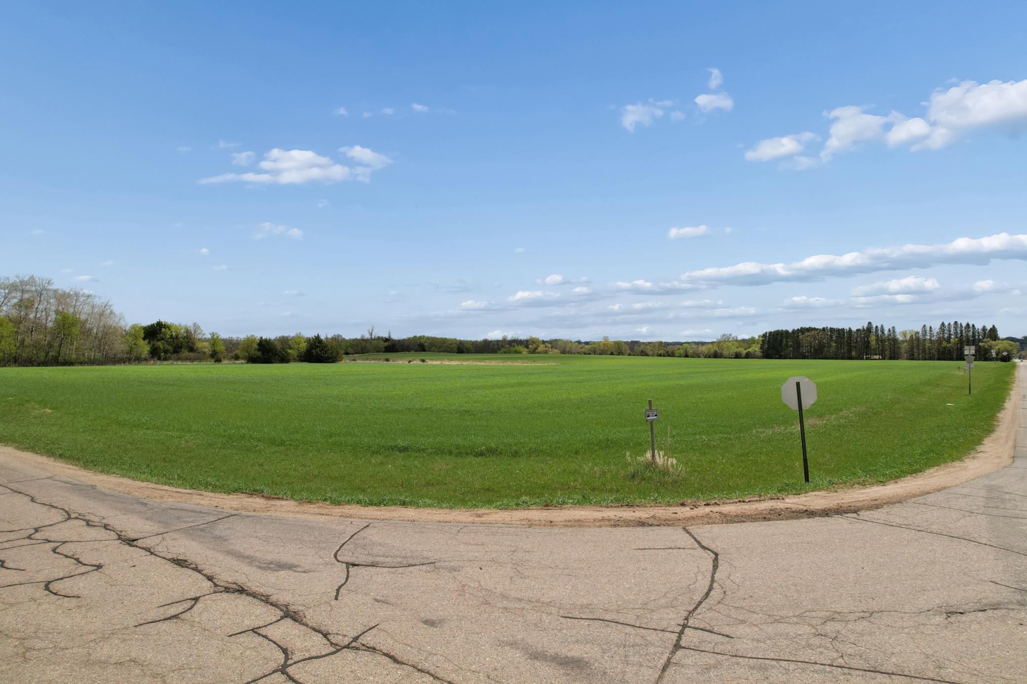 4 Of Sw1/4 Acres Located In Section 23 Jordan, MN 55352 - Photo 5 of 20