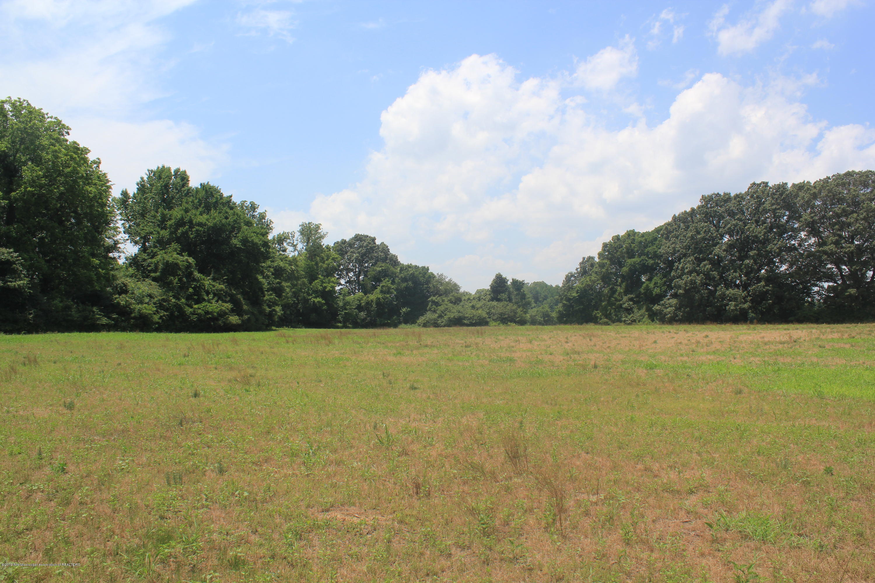 2 East Oak Grove Road Hernando, MS 38632 - Photo 11 of 22 011