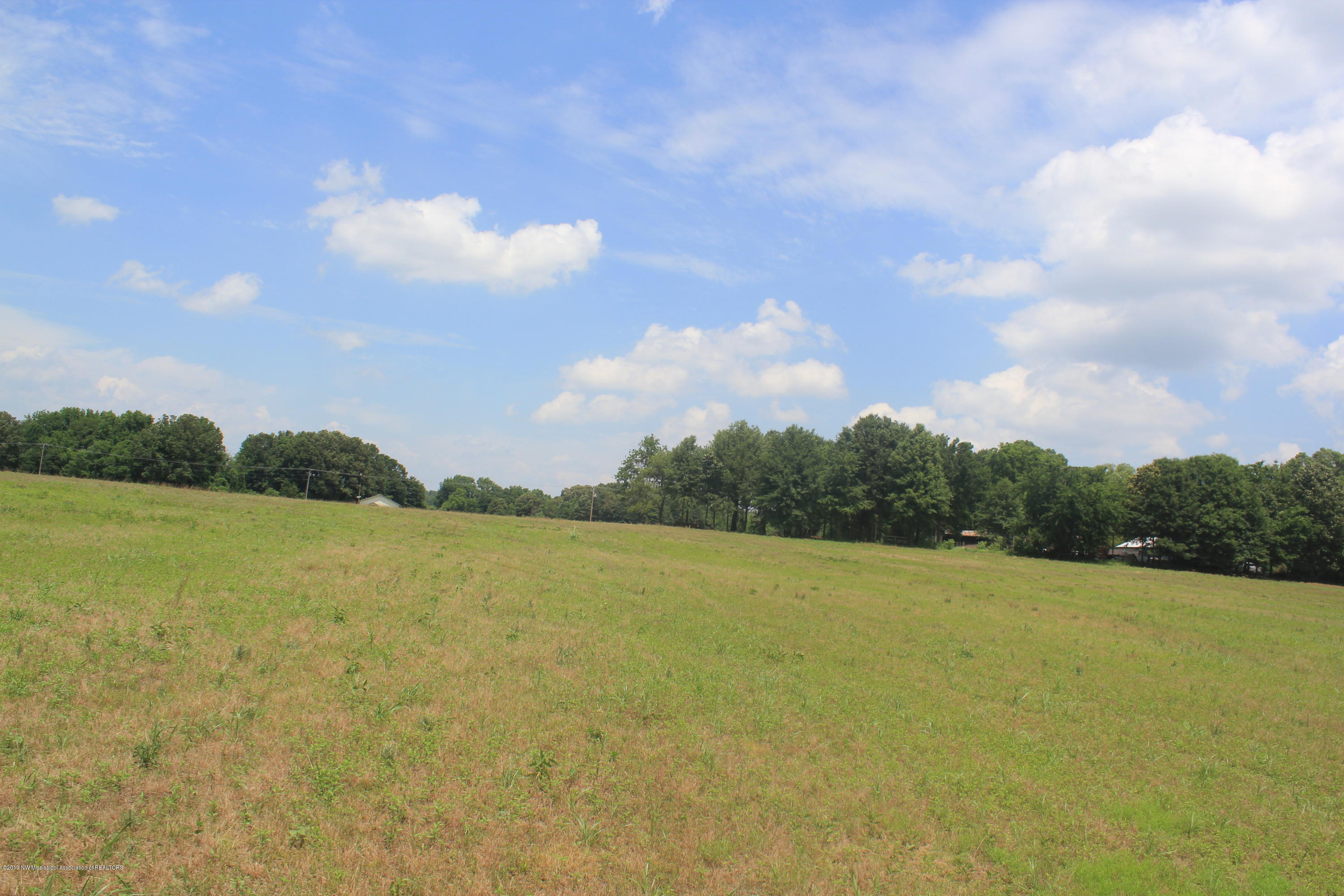 2 East Oak Grove Road Hernando, MS 38632 - Photo 14 of 22 014