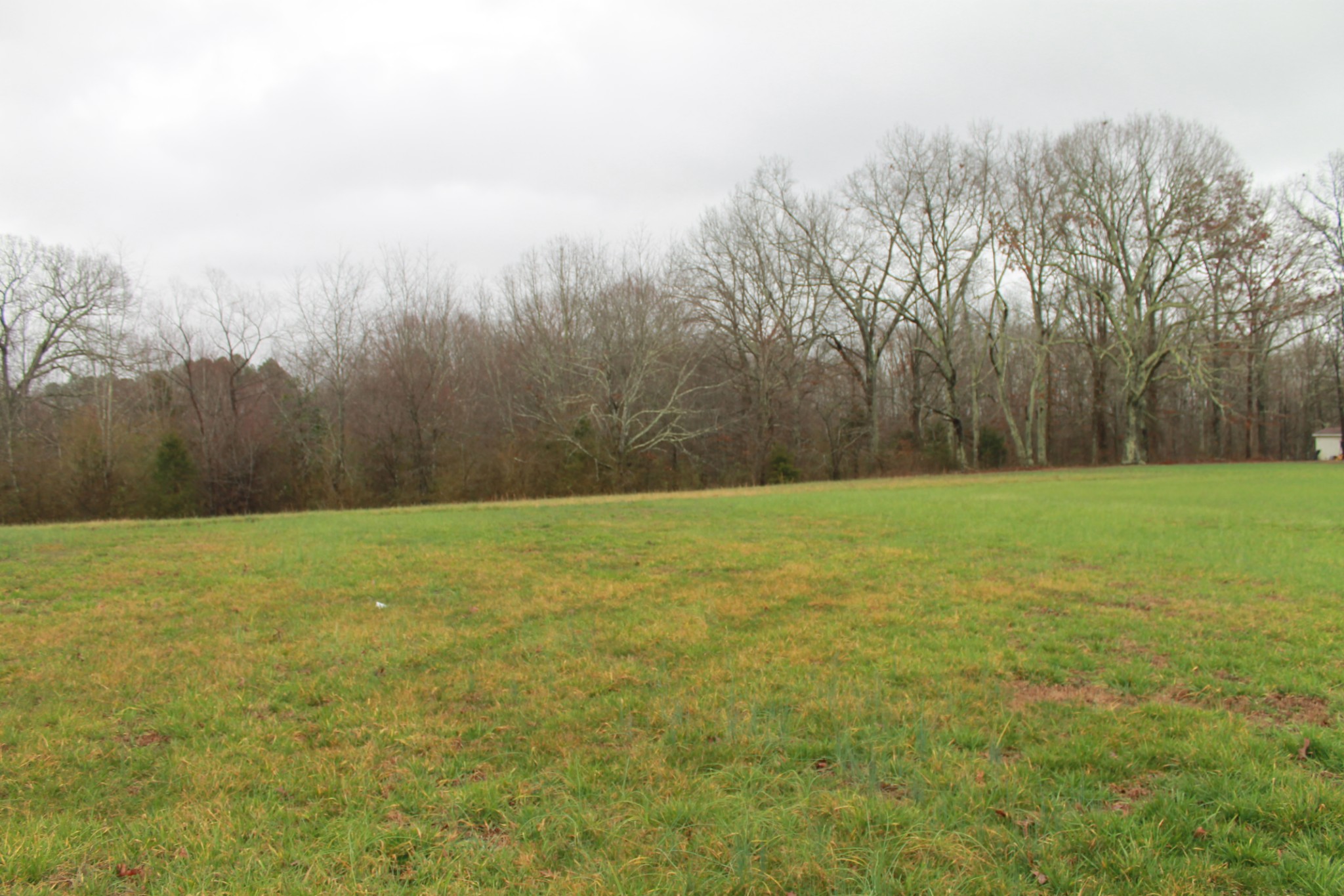 226 Colonial Road Hohenwald, TN 38462 - Photo 11 of 16 Gallery Image 11