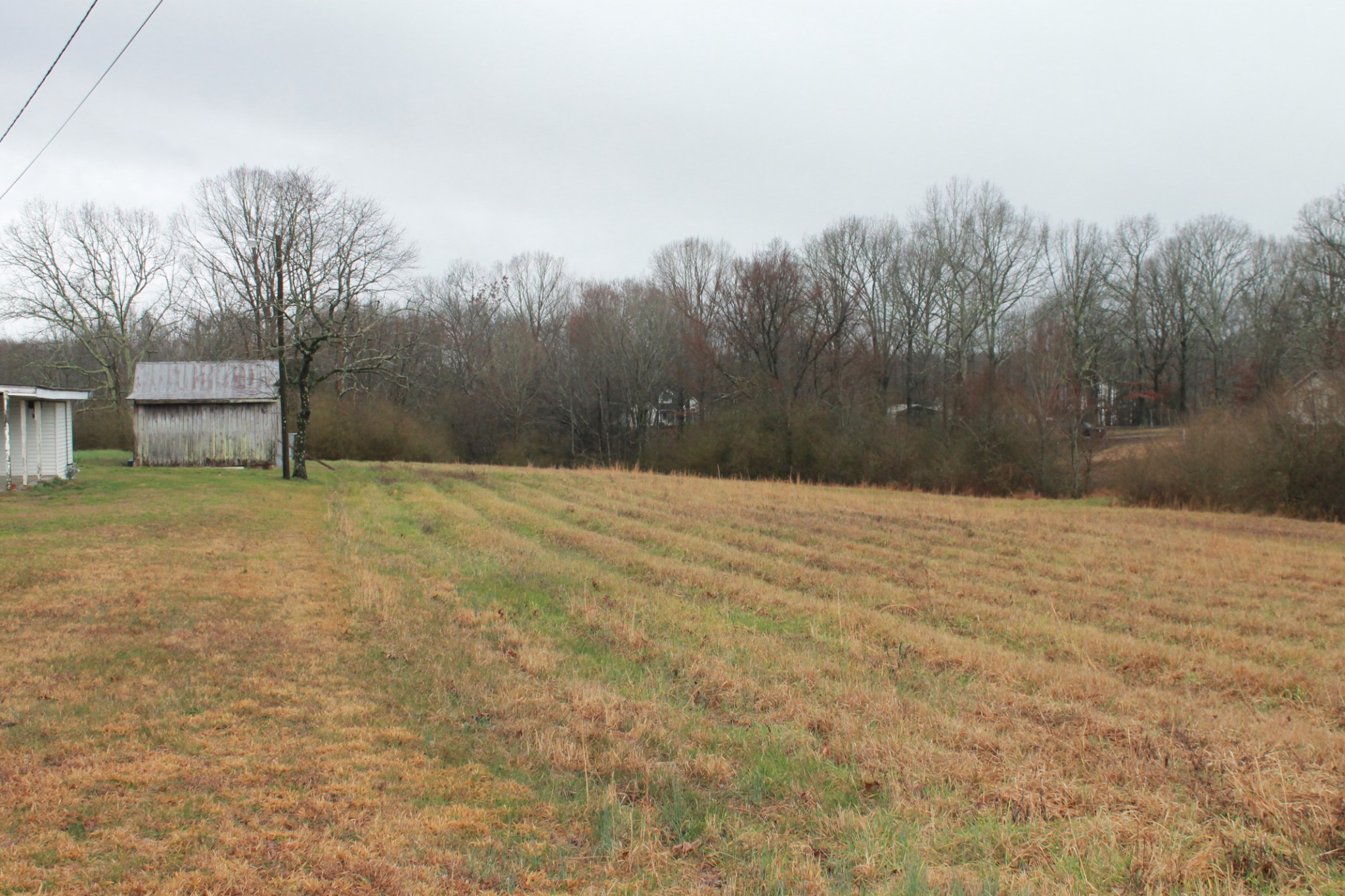 226 Colonial Road Hohenwald, TN 38462 - Photo 6 of 16 Gallery Image 6