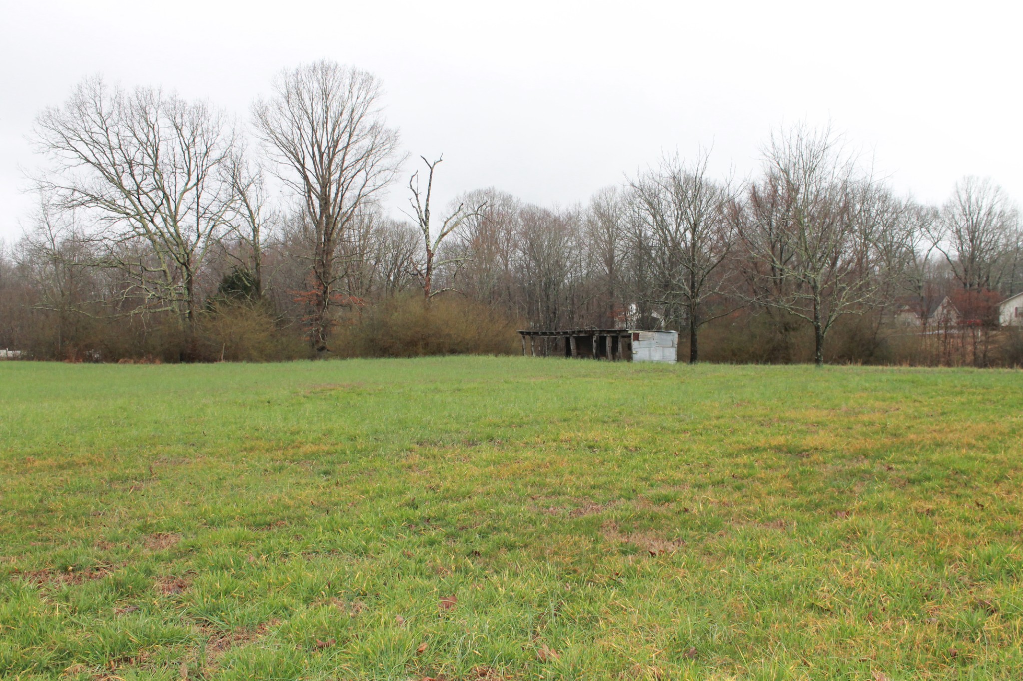 226 Colonial Road Hohenwald, TN 38462 - Photo 9 of 16 Gallery Image 9