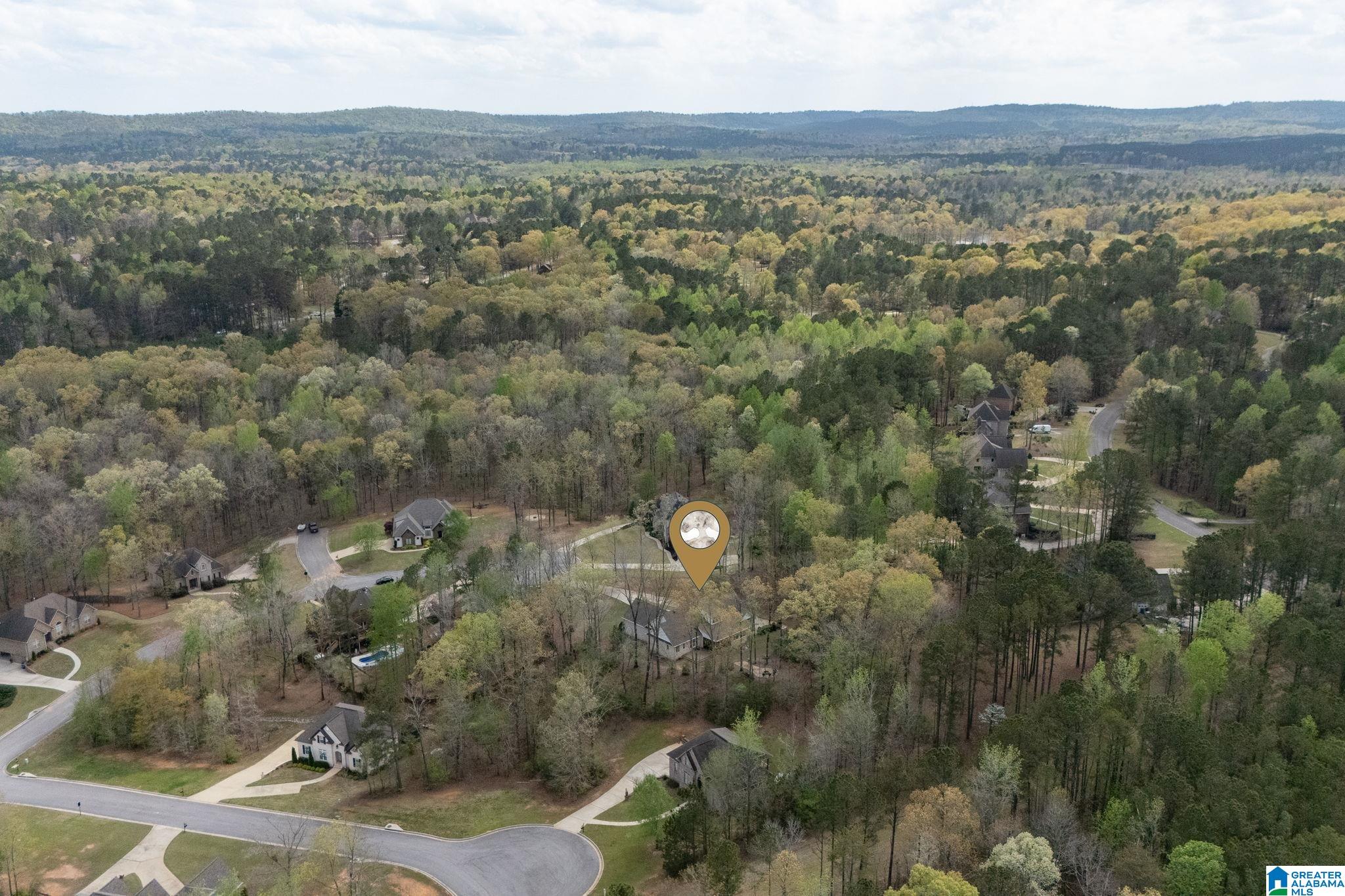 441 South Highland Ridge Lane Chelsea, AL 35043 - Photo 70 of 74