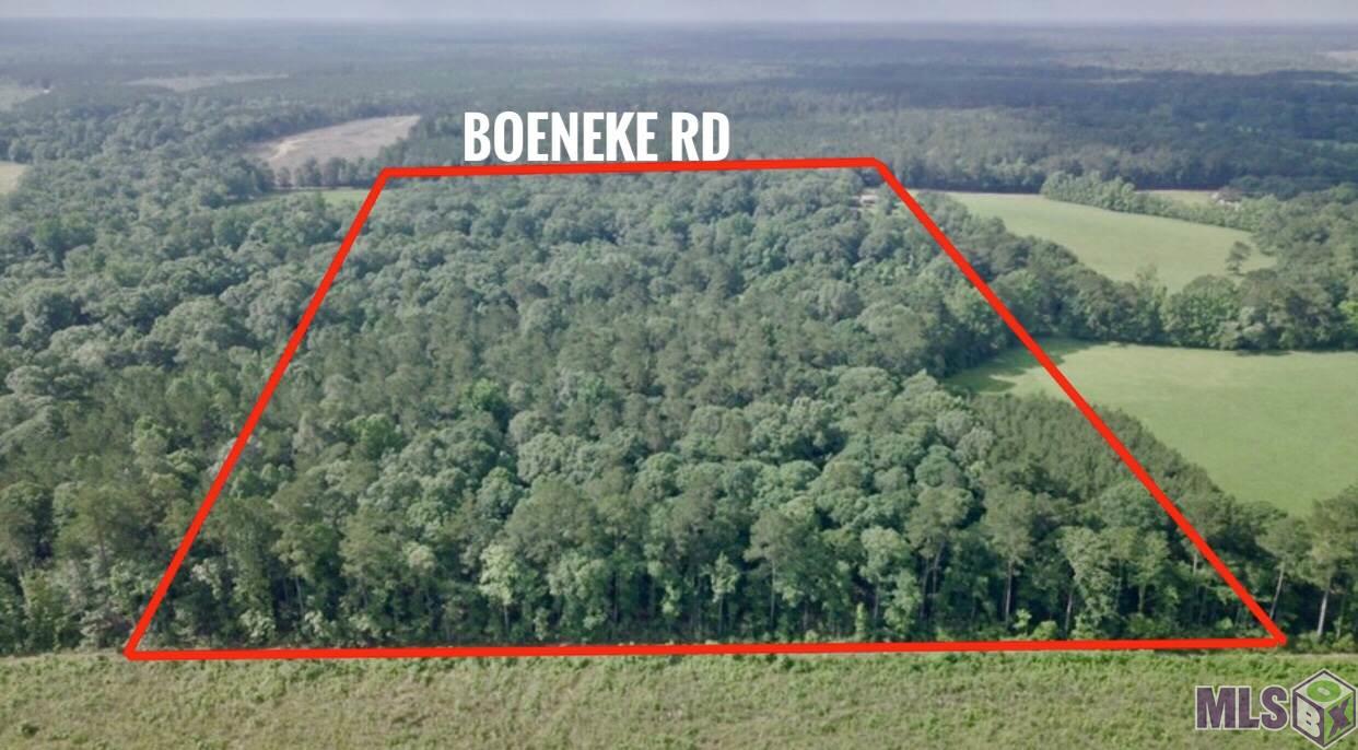 13932 Boeneke Road Clinton, LA 70722 - Photo 2 of 12 Gallery Image 2