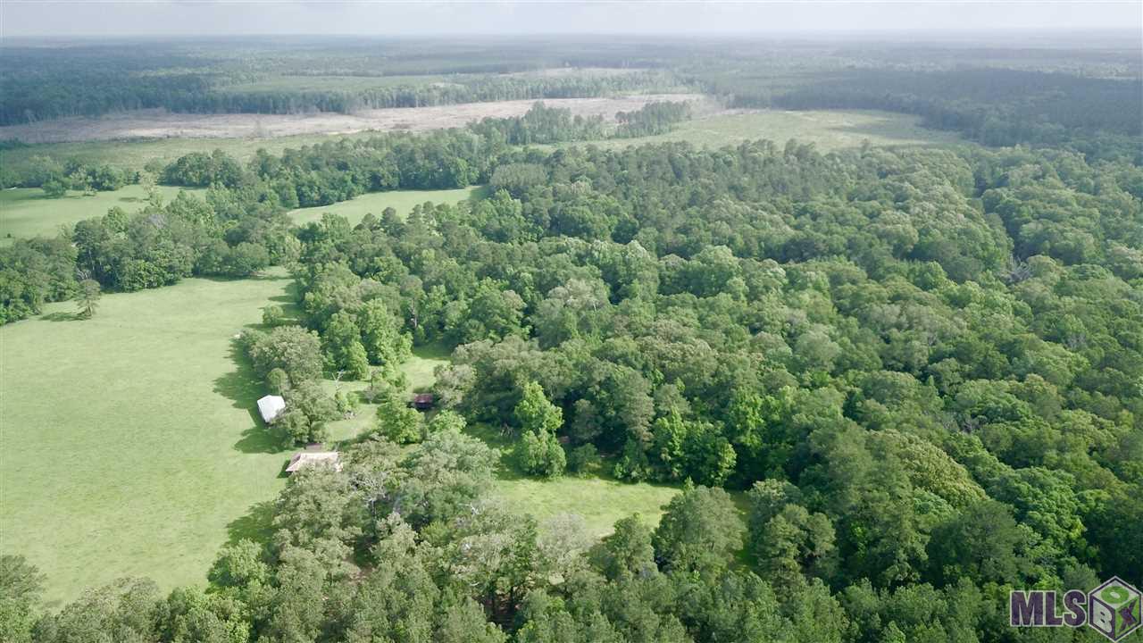 13932 Boeneke Road Clinton, LA 70722 - Photo 5 of 12 Gallery Image 5