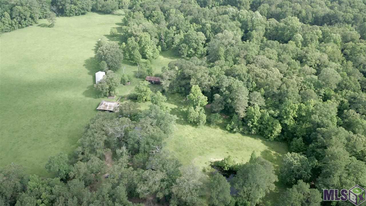 13932 Boeneke Road Clinton, LA 70722 - Photo 6 of 12 Gallery Image 6