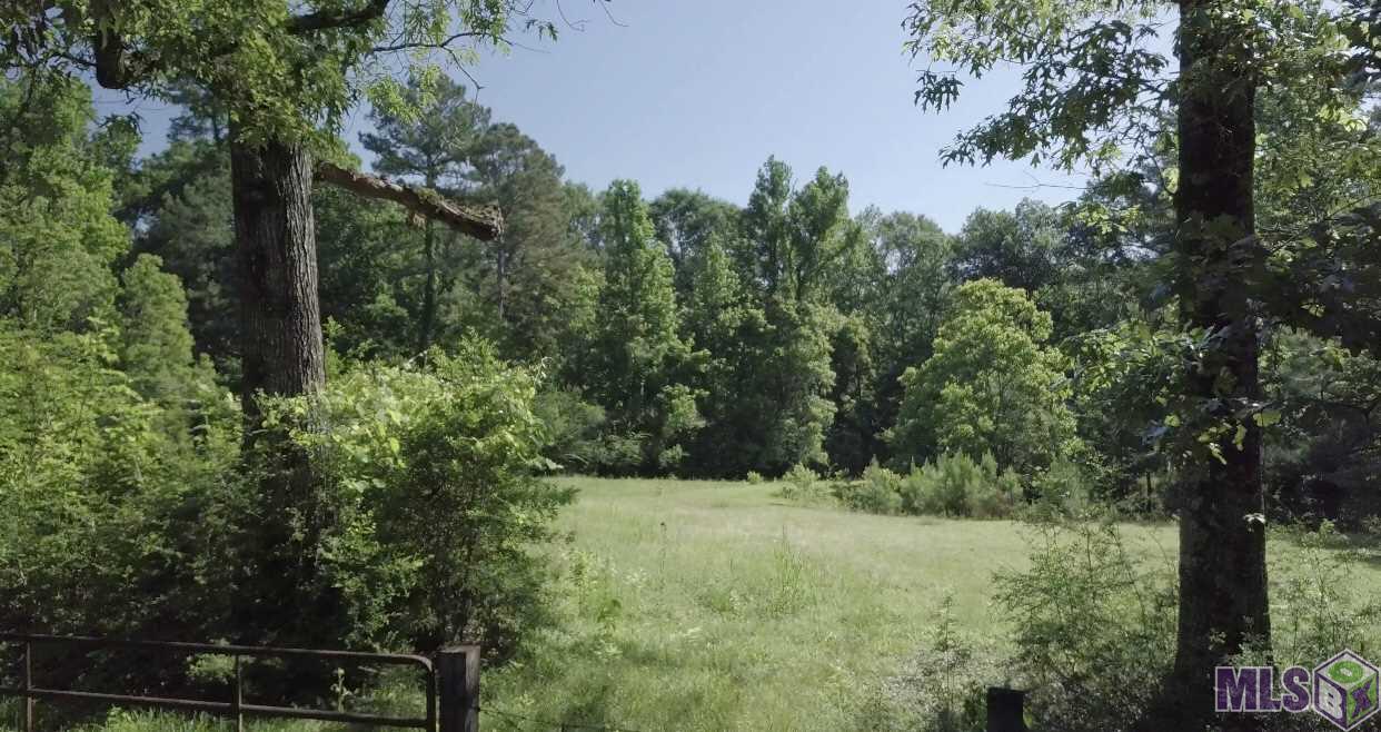 13932 Boeneke Road Clinton, LA 70722 - Photo 10 of 12 Gallery Image 10