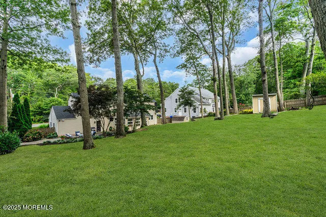 a garden with lots of trees