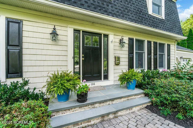 a potted plant in front of a house