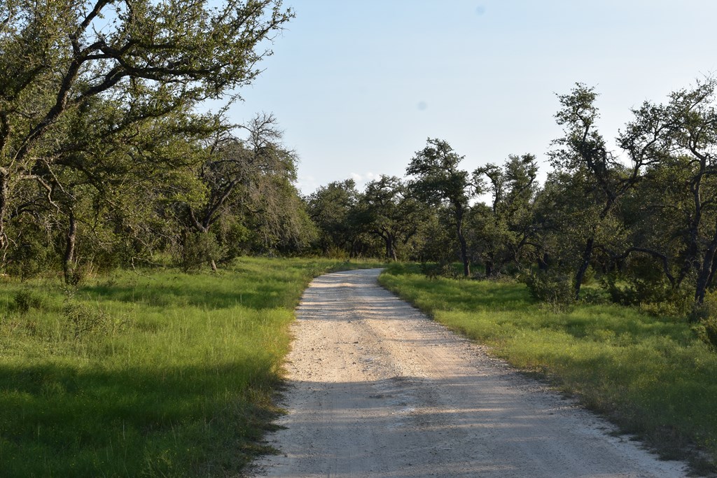 2000-2018 Ranch Road 2721 Fredericksburg, TX 78624 - Photo 12 of 19