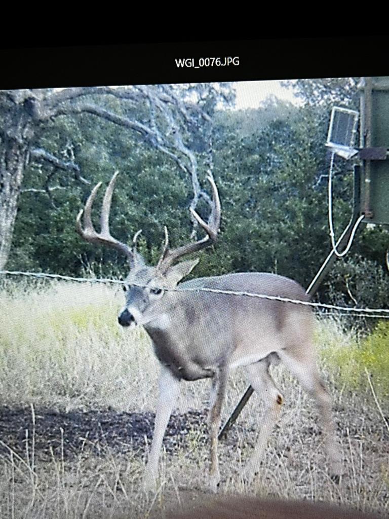 2000-2018 Ranch Road 2721 Fredericksburg, TX 78624 - Photo 14 of 19