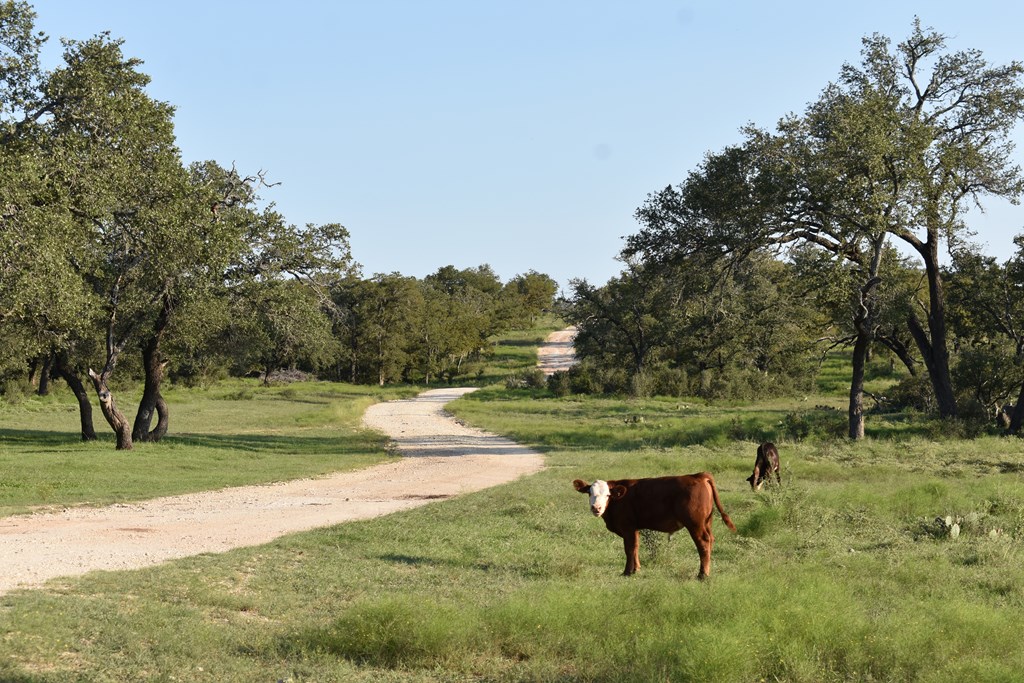2000-2018 Ranch Road 2721 Fredericksburg, TX 78624 - Photo 10 of 19