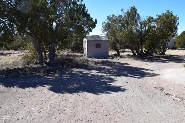 a view of a backyard with large trees