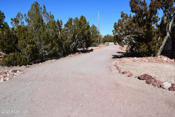 a view of road view with large trees