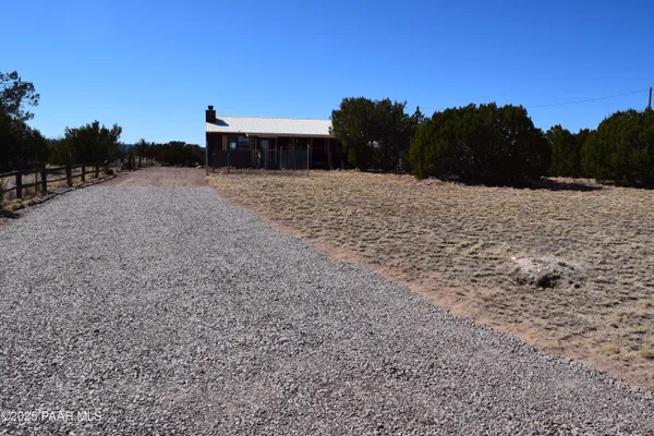 a view of a dry yard with a large tree