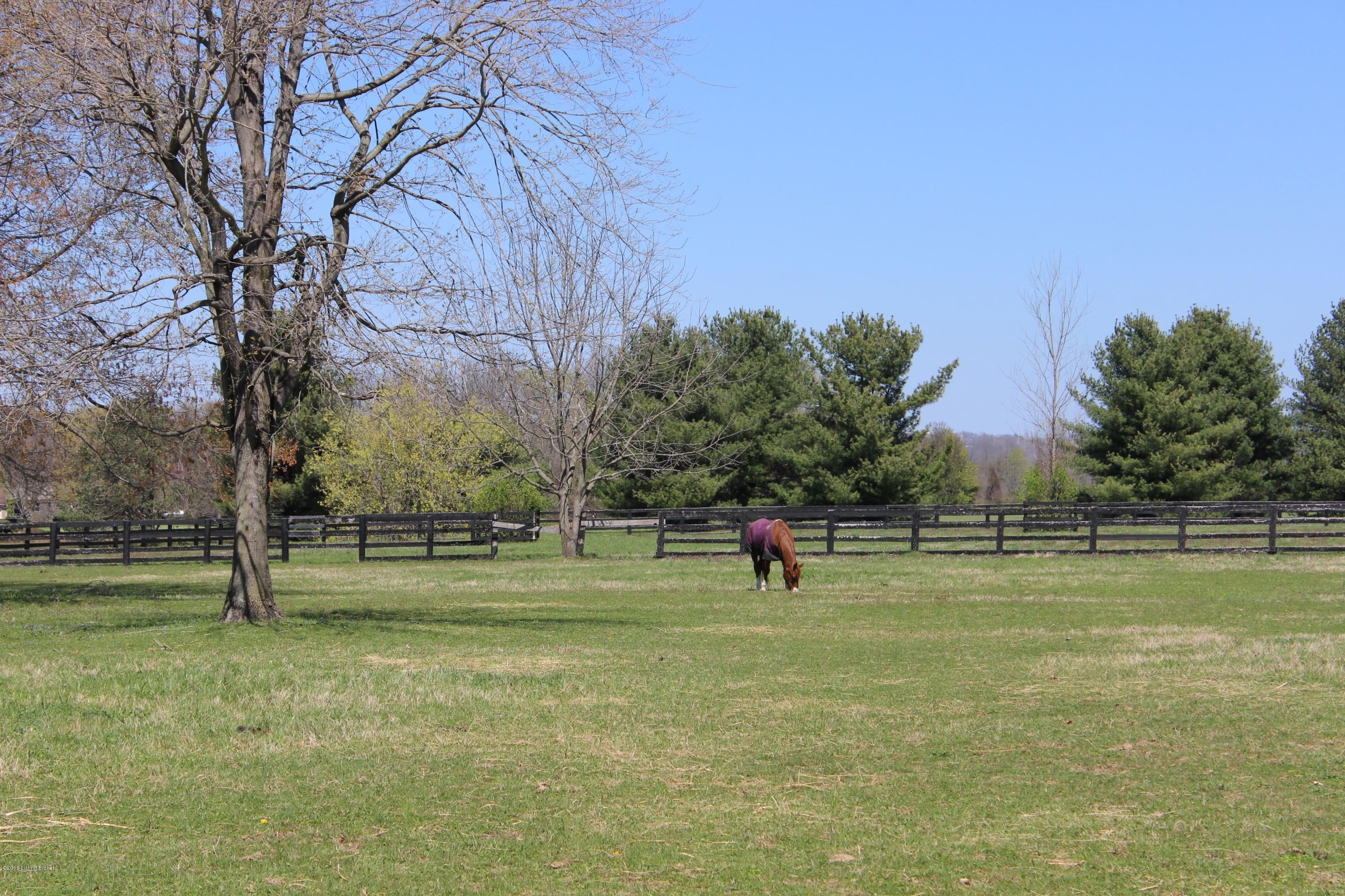 1910 Landing Road Prospect, KY 40059 - Photo 30 of 34 fun for the horses too