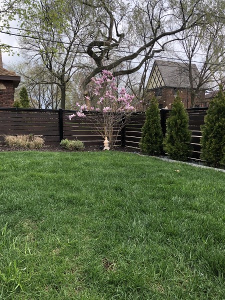 478 Kent Road Riverside, IL 60546 - Photo 33 of 41 a backyard of a house with lots of green space